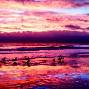 Meet your Posher, Abigail